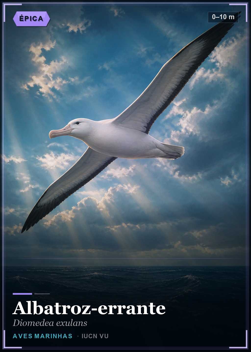 Albatroz-errante