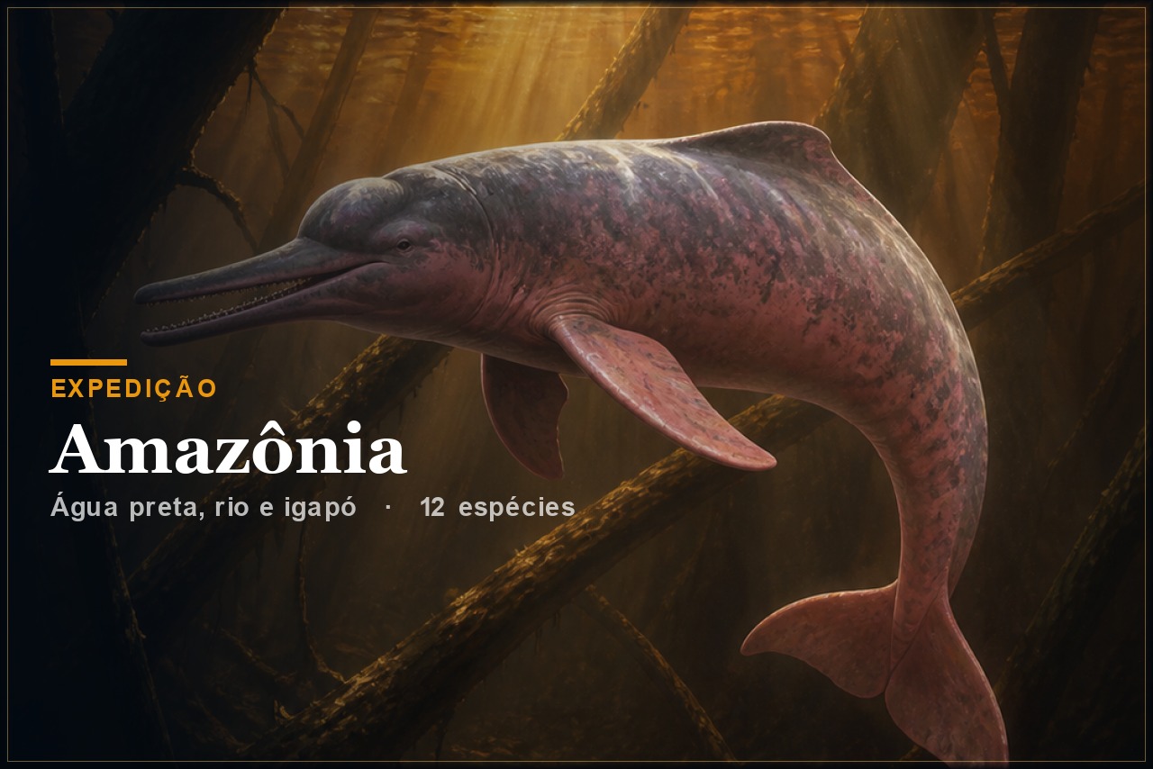 Expedição Amazônia