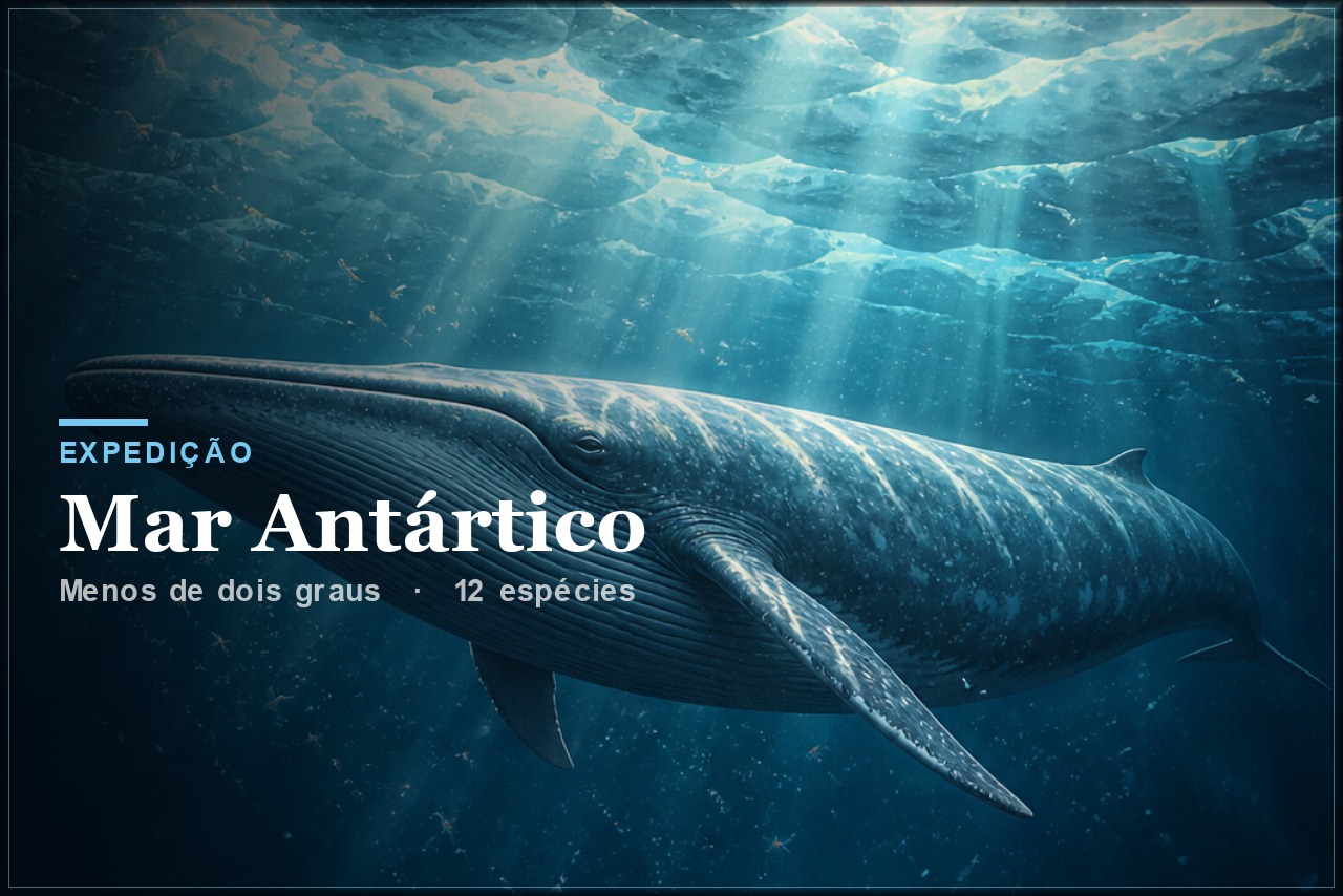 Expedição Mar Antártico