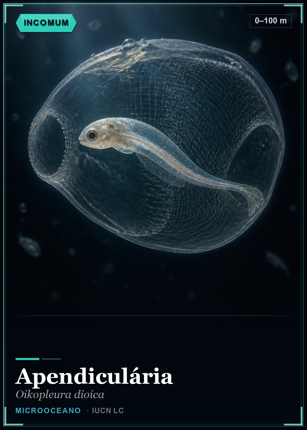 Apendiculária