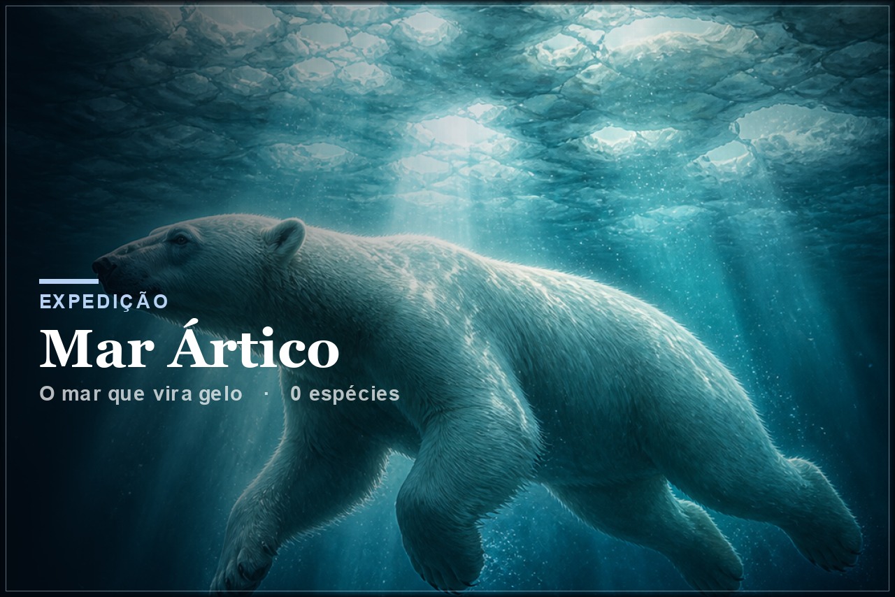 Expedição Mar Ártico
