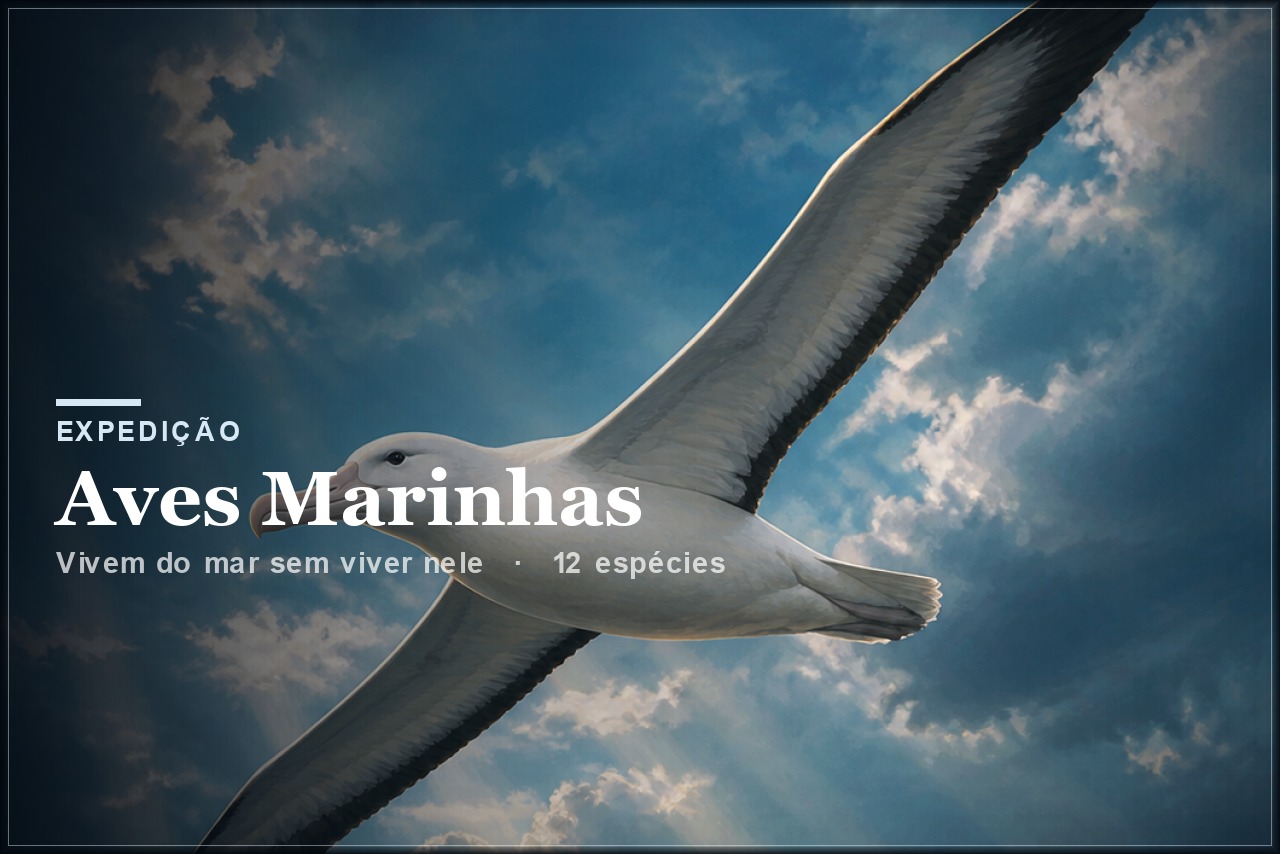 Expedição Aves Marinhas