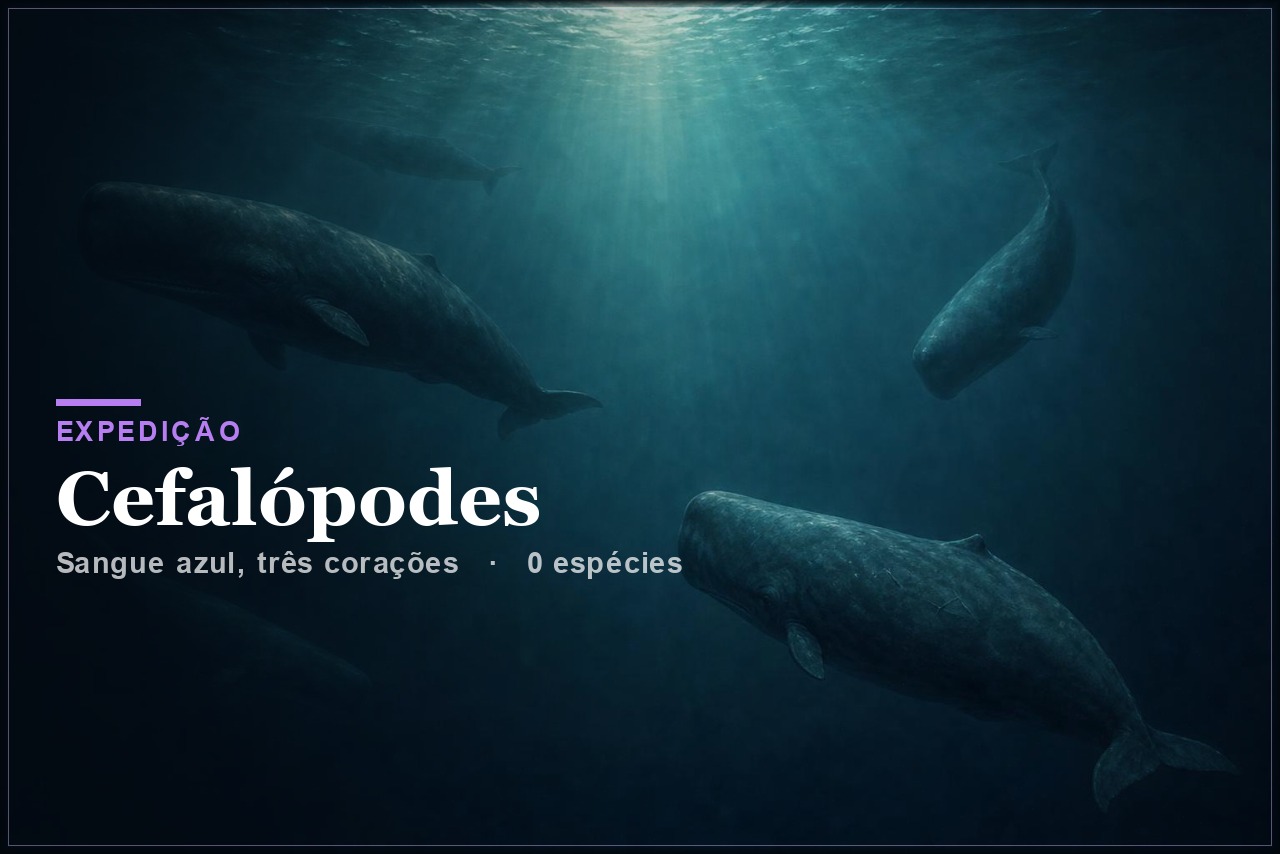 Cefalópodes