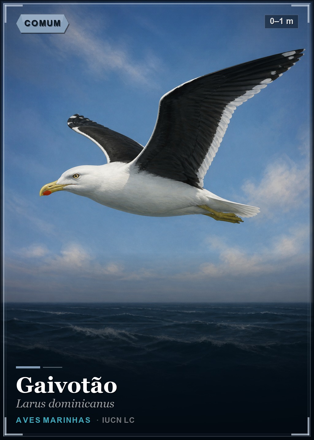 Gaivotão