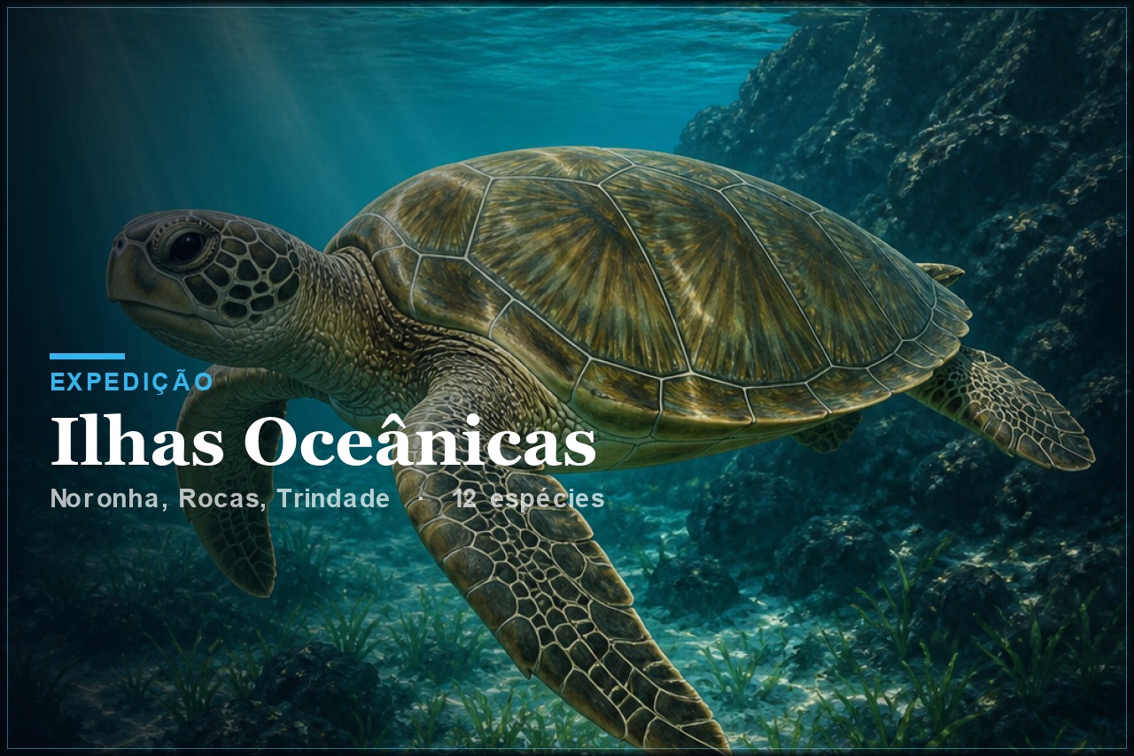 Expedição Ilhas Oceânicas