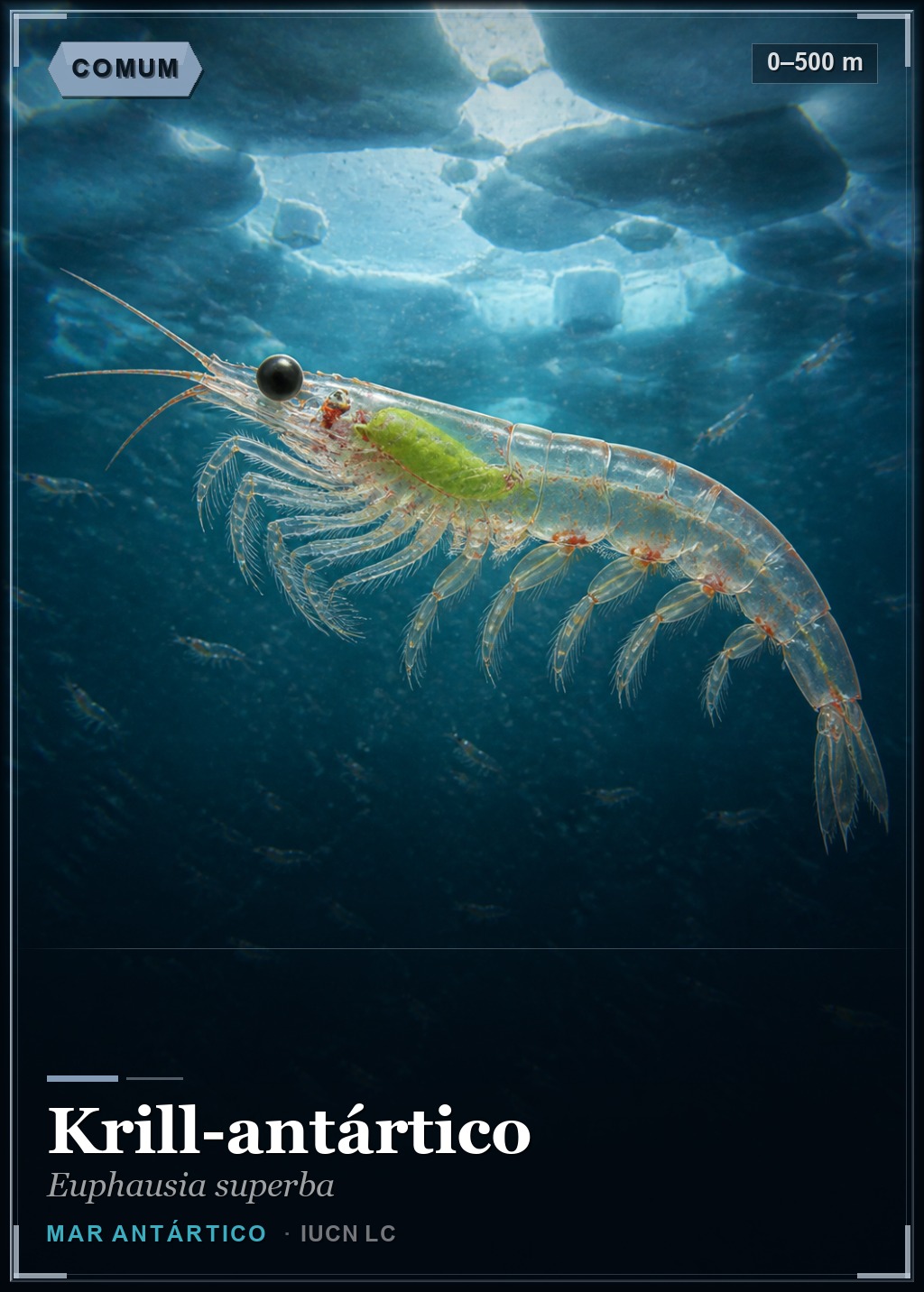 Krill-antártico