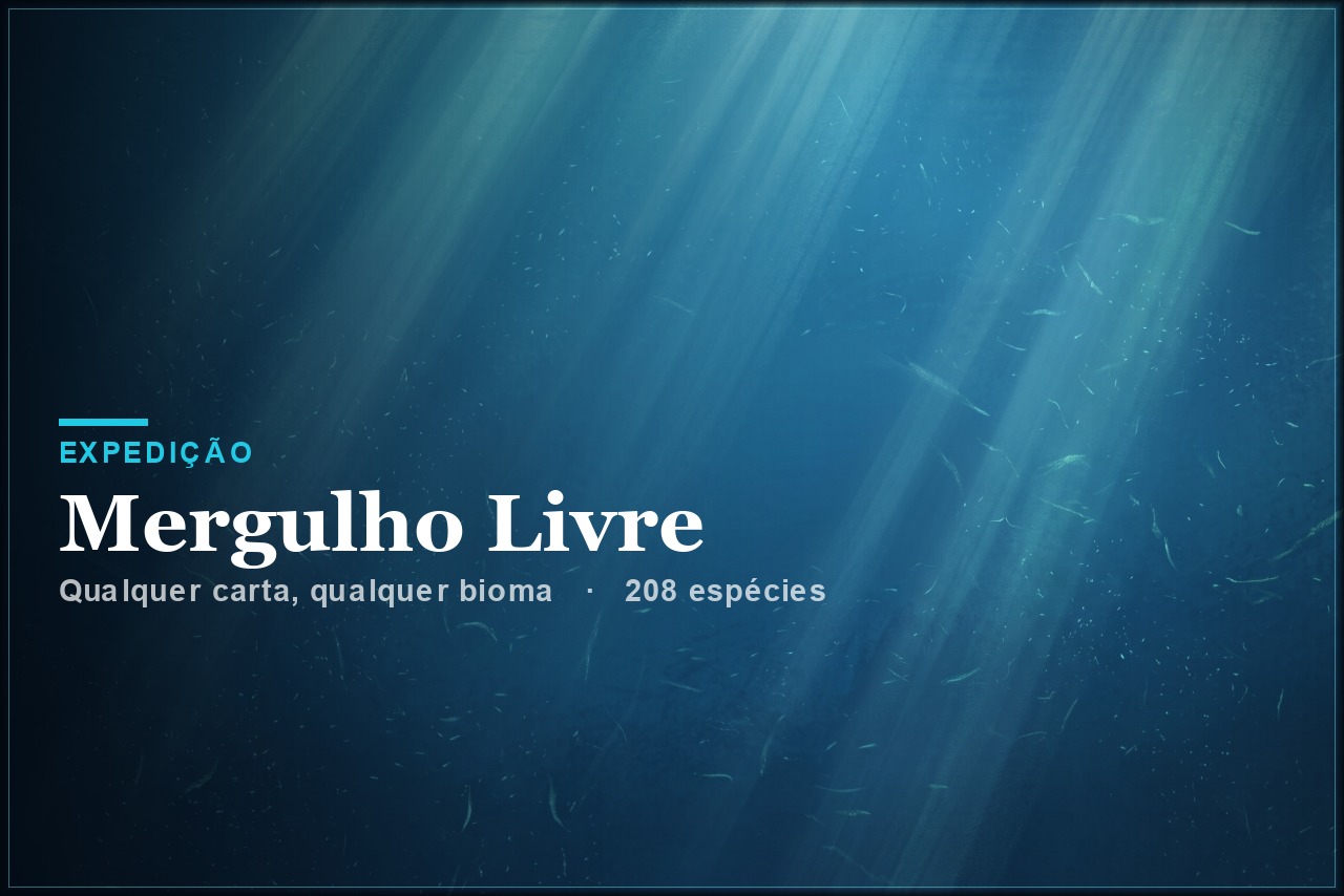 Mergulho Livre