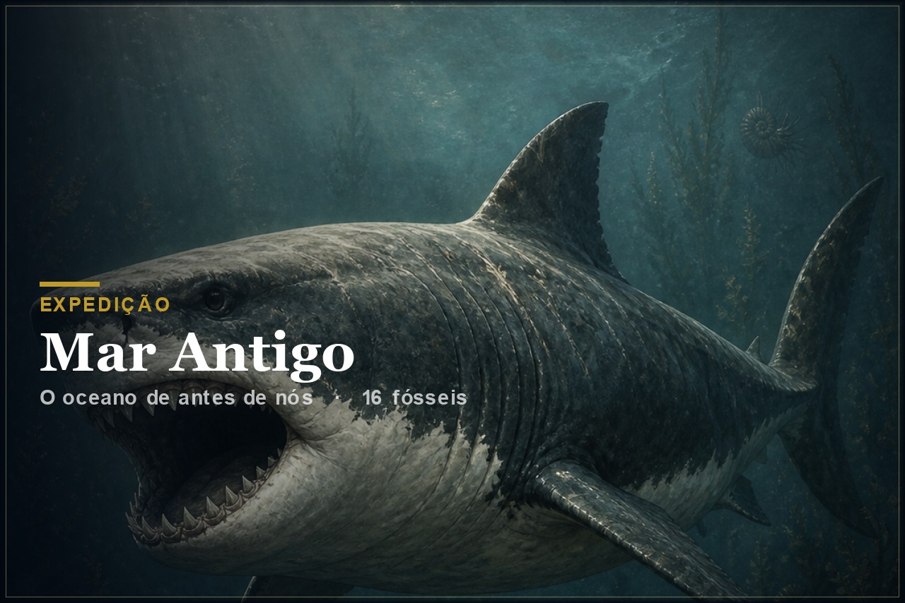 Expedição Mar Antigo