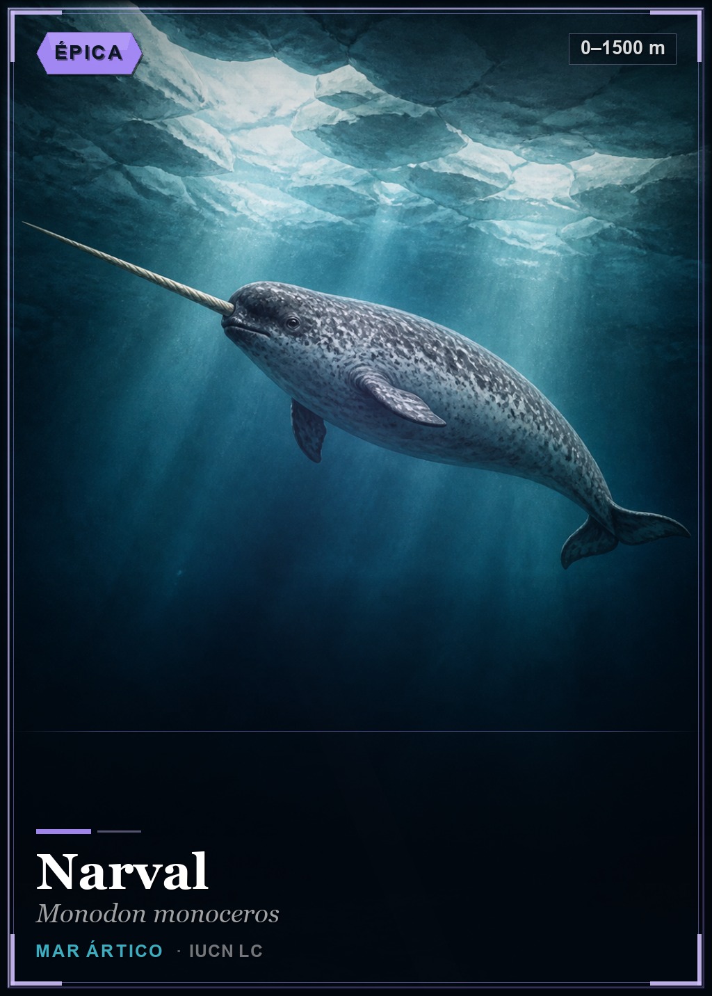 Narval
