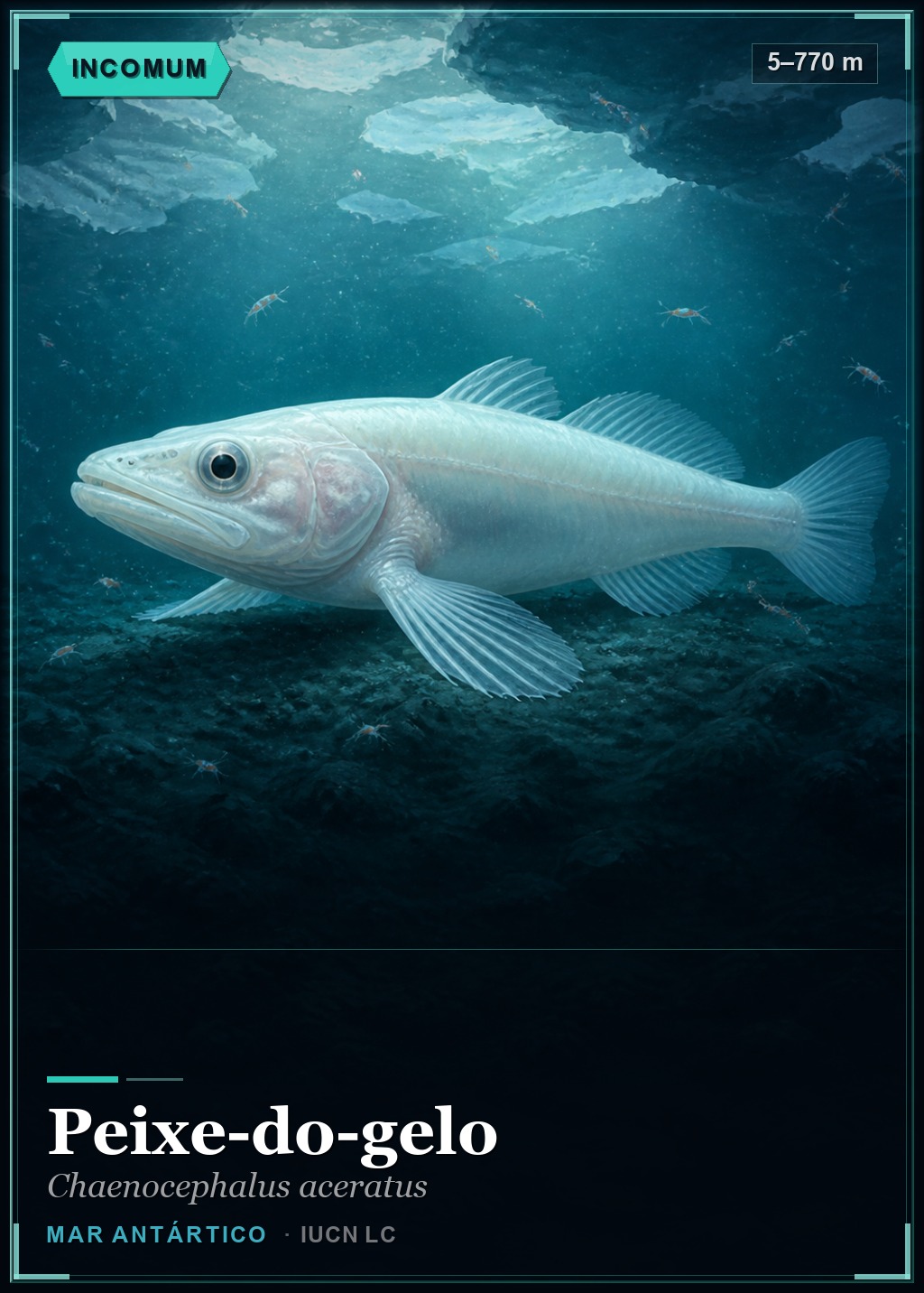 Peixe-do-gelo
