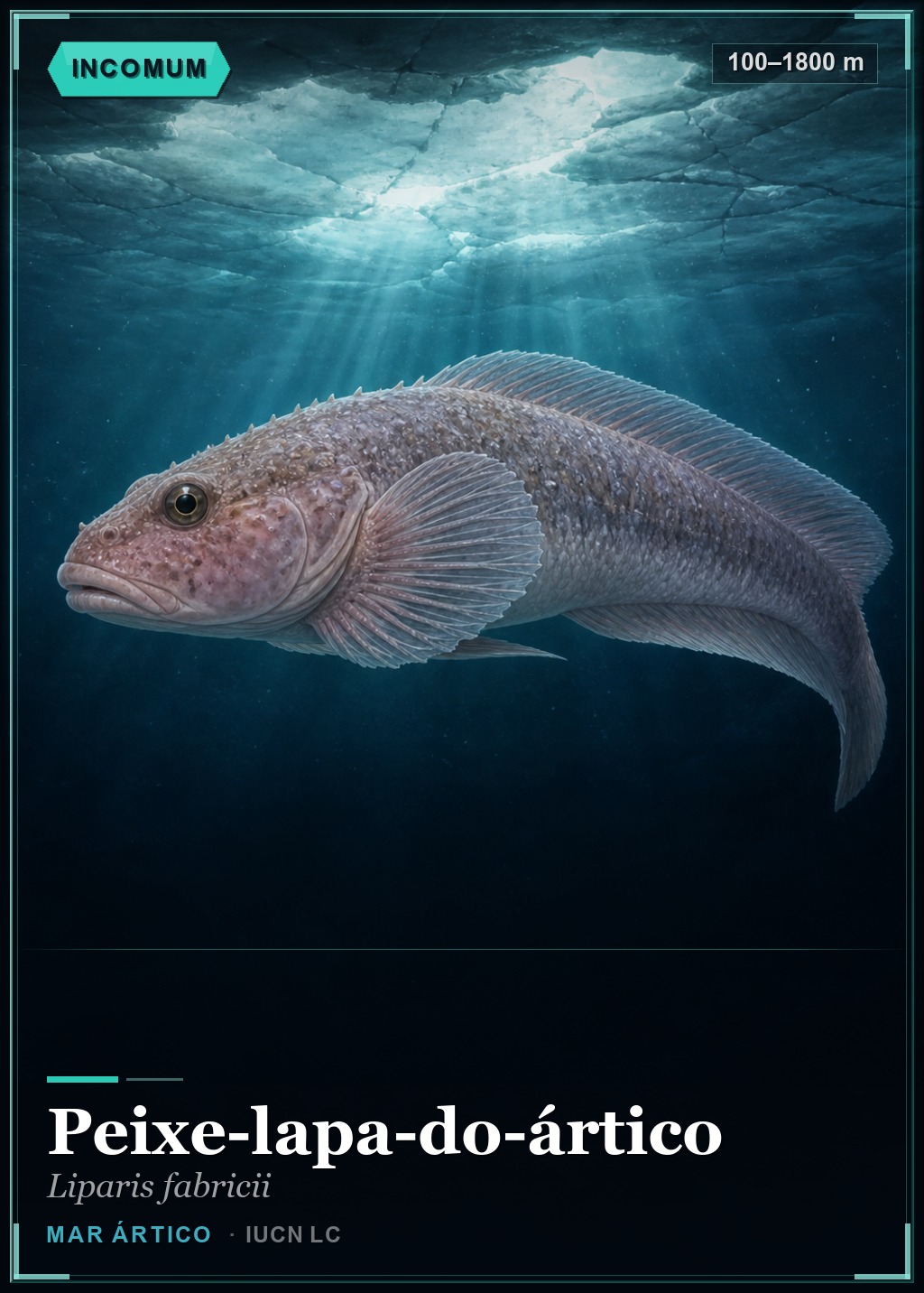 Peixe-lapa-do-ártico