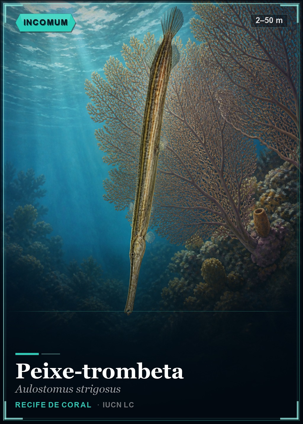 Peixe-trombeta