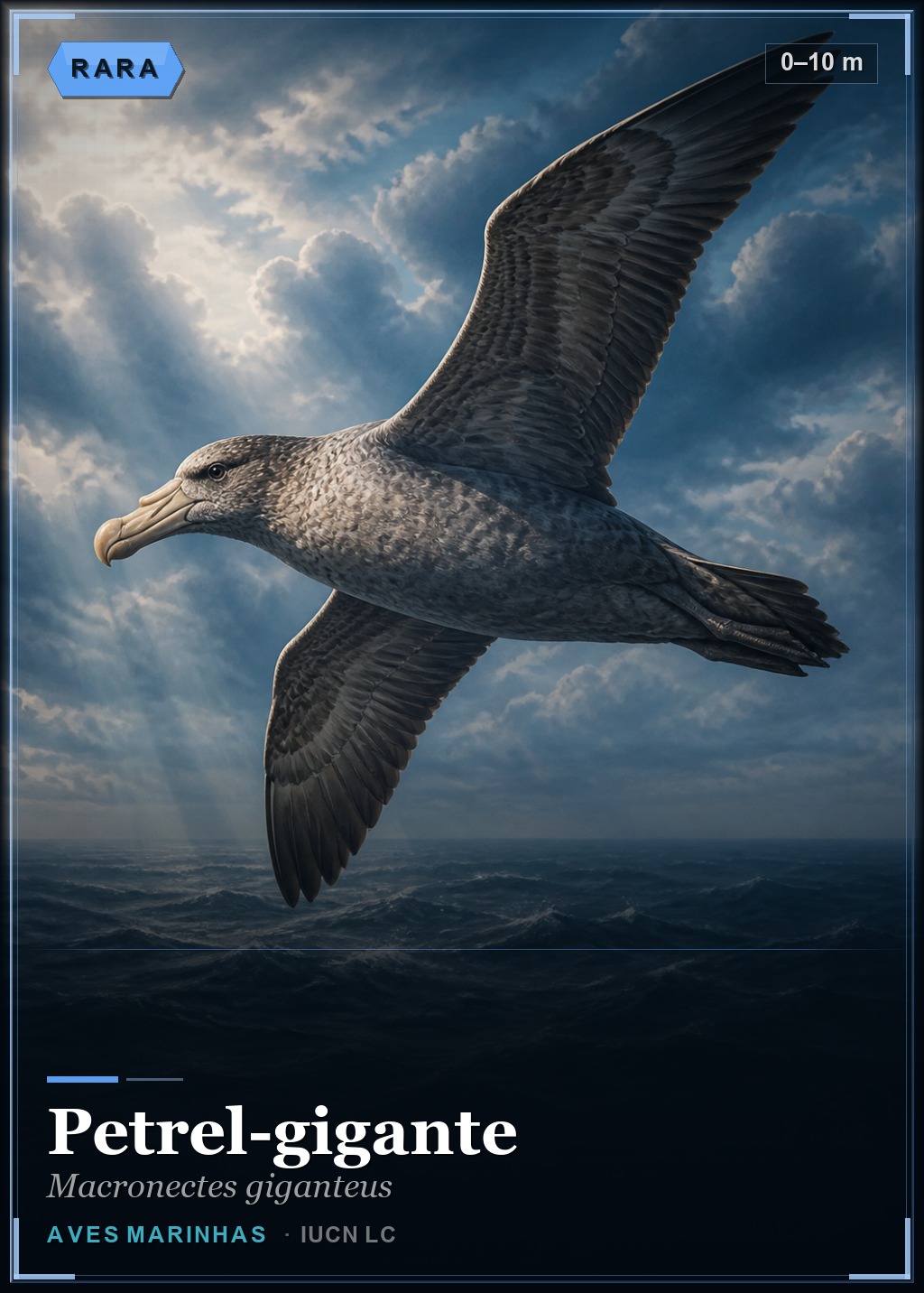 Petrel-gigante