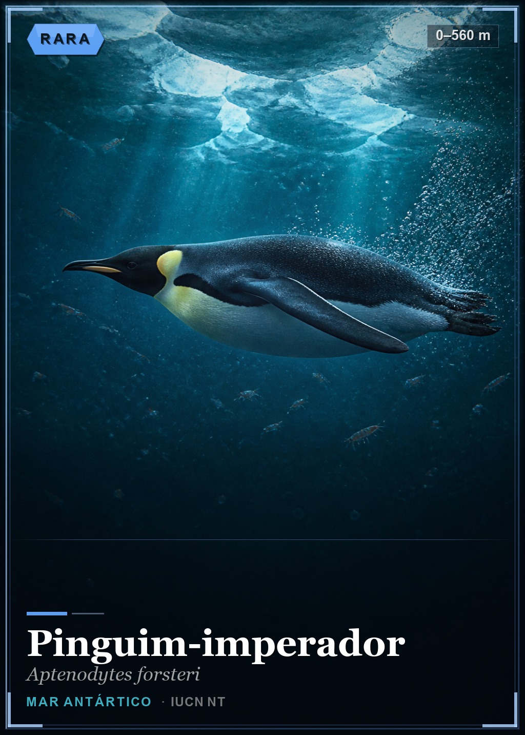 Pinguim-imperador