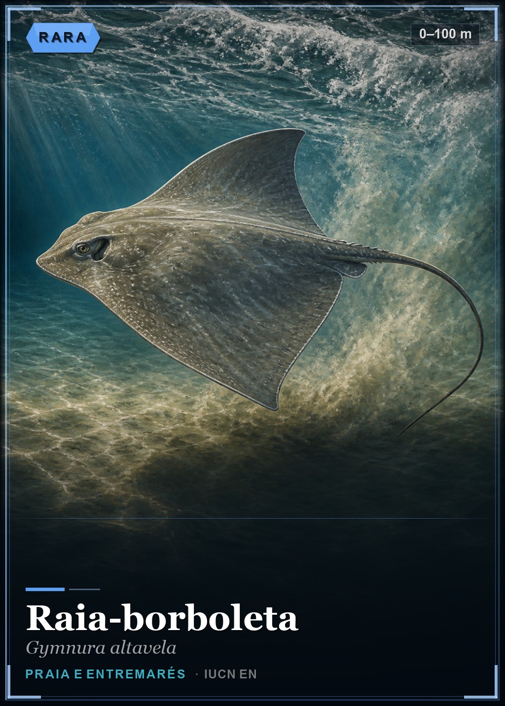Raia-borboleta