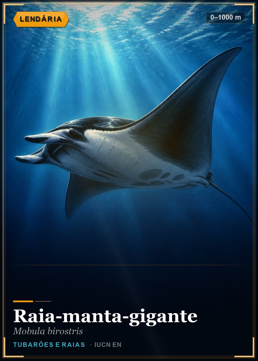 Raia-manta-gigante