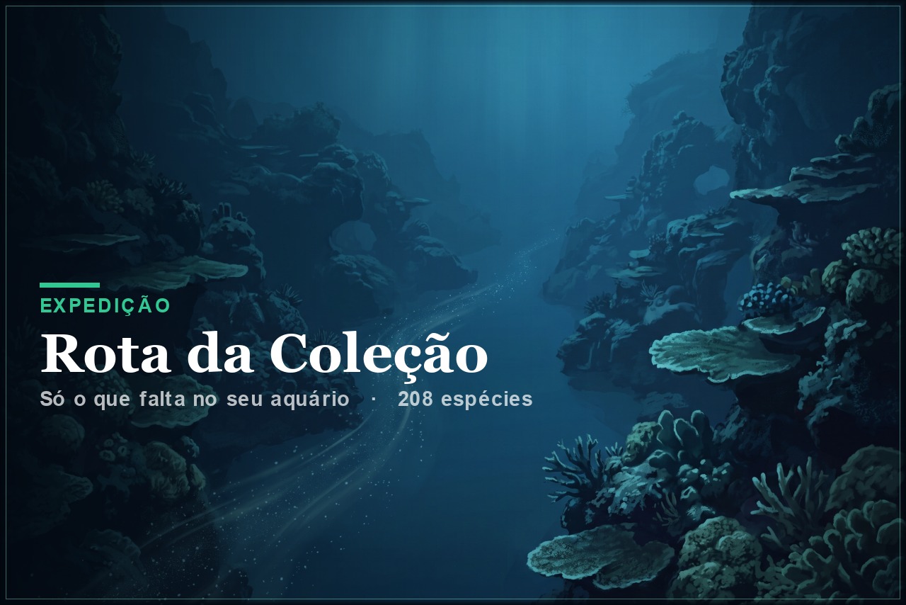 Rota da Coleção
